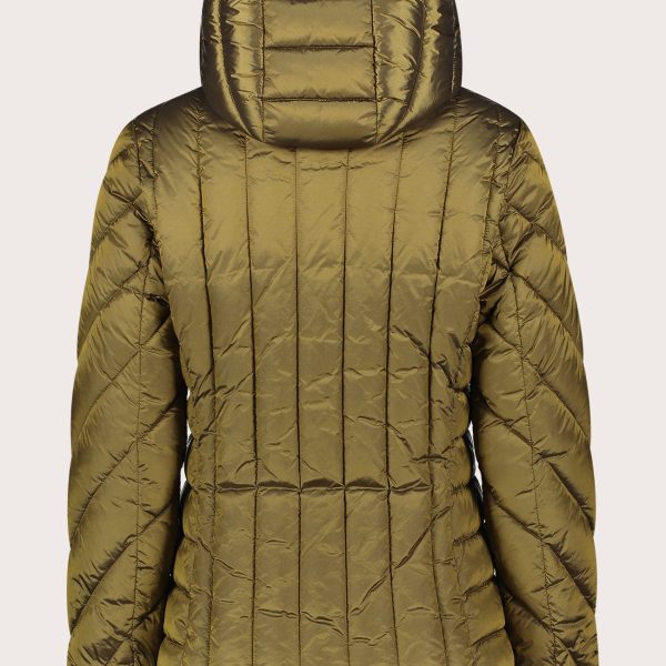 Chaqueta acolchada corta con capucha Gaudí Jeans