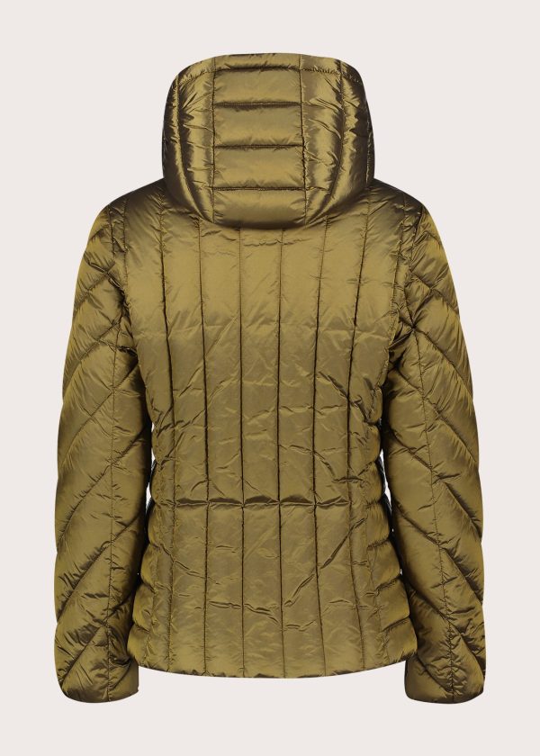 Chaqueta acolchada corta con capucha Gaudí Jeans