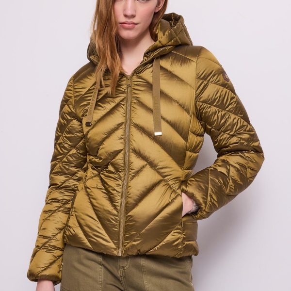 Chaqueta acolchada corta capucha Gaudí Jeans en chocolate