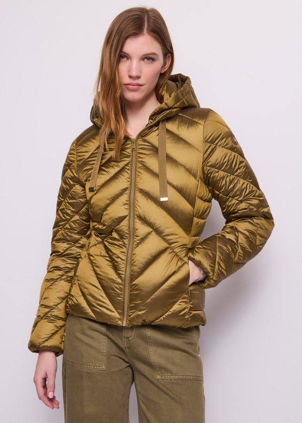 Chaqueta acolchada corta capucha Gaudí Jeans en chocolate