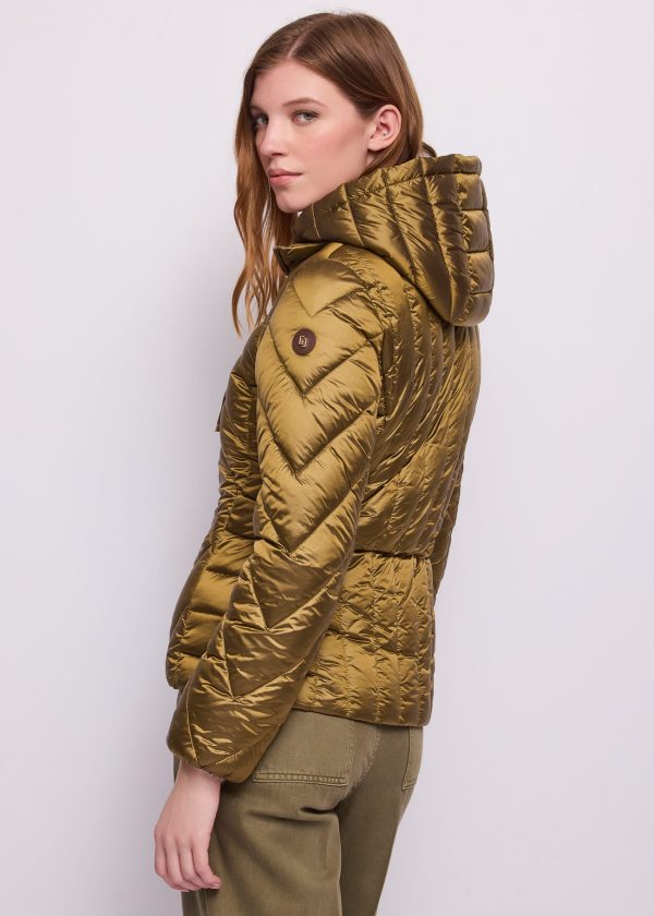 Chaqueta acolchada corta con capucha Gaudí Jeans