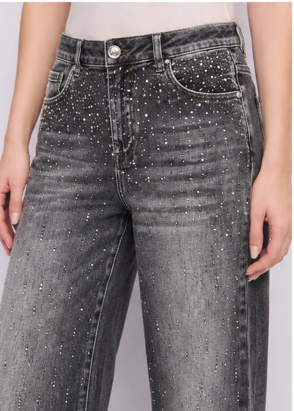 Vaquero Gaudí Jeans Strass
